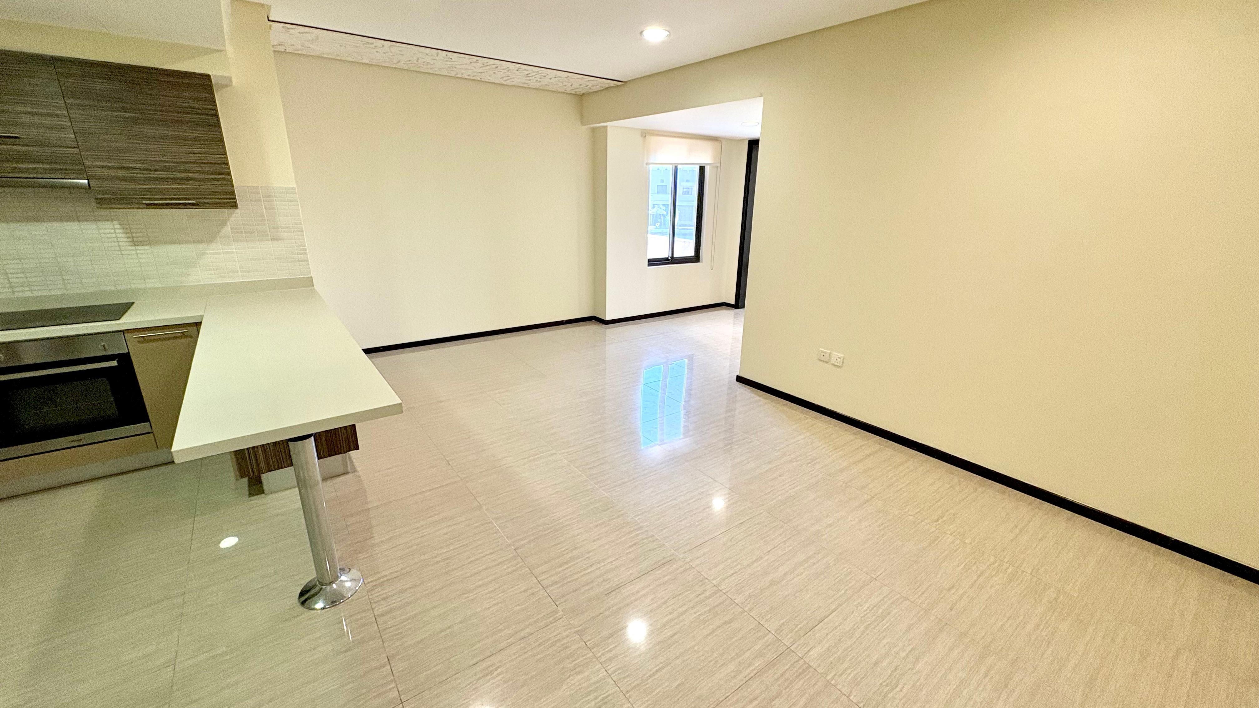 Spacious 1 BR with sea view terrace 